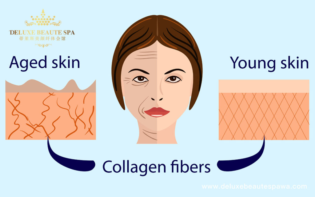 collagen